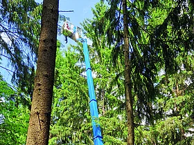 Hubarbeitsbühne im Einsatz zwischen hohen Bäumen