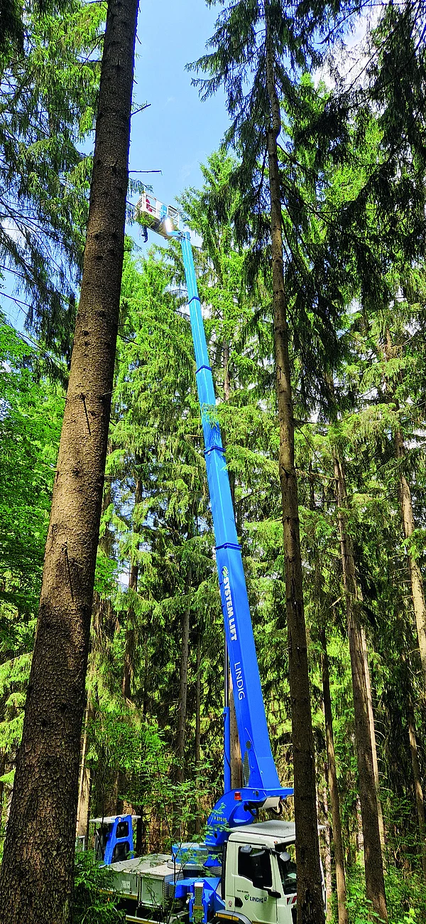 Hubarbeitsbühne im Einsatz zwischen hohen Bäumen